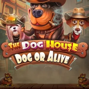 The Dog House &ndash; Slot von Pragmatic Play aus dem Kingmaker Spieleangebot