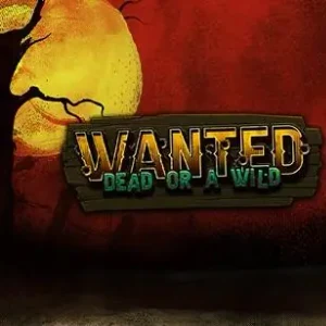 Wanted Dead or a Wild &ndash; Slot aus dem Kingmaker Spieleangebot